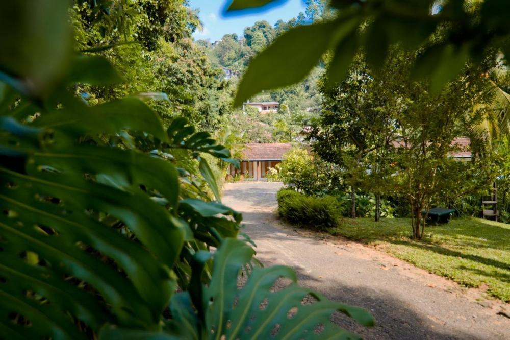 Clove Garden Kandy Kültér fotó
